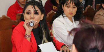 La concejala del Partido del Trabajo (PT), María Esther Rodríguez de la Serda acusó al Instituto Electoral de la Ciudad de México (IECM) de negarle las medidas cautelares ante una acusación que presentó de haber sido presuntamente víctima de violencia política contra la mujer en razón de género. FOTO: PT
