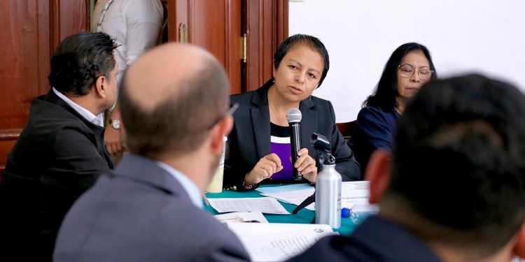 Liz Salgado destacó que, según cifras oficiales, la Ciudad de México enfrenta un déficit habitacional de hasta 700 mil viviendas, además de graves problemas estructurales en miles de unidades habitacionales. FOTO: Especial