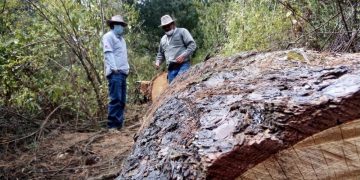 FOTO: Temática, archivo Movimiento Tipilaltepemeh