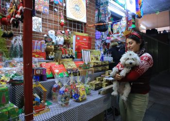 Con el objetivo de impulsar el comercio local durante la temporada decembrina, el alcalde Luis Mendoza invita a la población a visitar las romerías instaladas en los 15 mercados públicos de Benito Juárez, con las cuales, también se fomenta la convivencia familiar y se mantienen vivas las tradiciones que le dan identidad a nuestra comunidad.