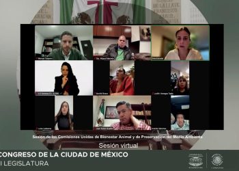 Se prevé el desarrollo de cinco foros: uno de carácter general, destinado a escuchar las diversas posturas sobre la materia, y cuatro foros temáticos orientados a la construcción de propuestas para una regulación integral.