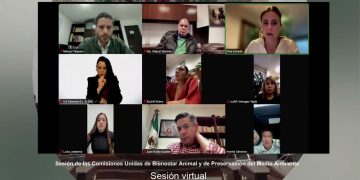 Se prevé el desarrollo de cinco foros: uno de carácter general, destinado a escuchar las diversas posturas sobre la materia, y cuatro foros temáticos orientados a la construcción de propuestas para una regulación integral.