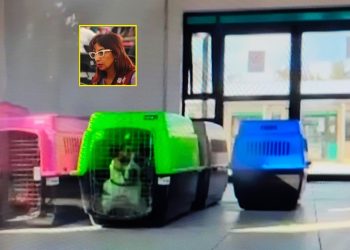 FOTO: @Tadeo25_ / especial