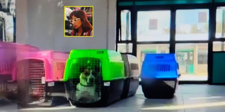 FOTO: @Tadeo25_ / especial