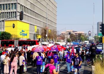 Tal parece que a la diputada cuatroteísta Diana Sánchez Barrios le aplica el refrán: “Estás viendo la tempestad y no te hincas”. Apoyó una marcha con bloqueo de Insurgentes y calzada México-Tenochtitlan, en día de contingencia ambiental. FOTO: Especial