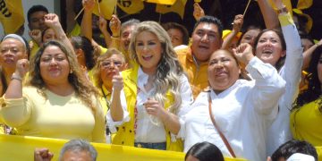 Rita Cecilia Contreras, ex candidata a diputada local por un distrito de la Cuauhtémoc y la más destacada líder del PRD Ciudad de México en esa Demarcación Territorial, exigió al Instituto Electoral de la Ciudad de México (IECM) dejar de servir a los intereses de políticos corruptos como el diputado federal Víctor Hugo Lobo Román, Jesús Zambrano e Isaías Villa.