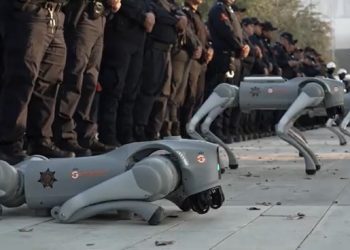 ¿Perros robot para el Mundial en el Azteca?