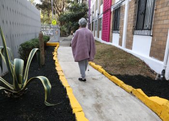 Alcaldías podrían rehabilitar áreas comunes de unidades habitacionales