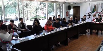 En la “7ta Sesión Ordinaria del Concejo 2024-2027” de Álvaro Obregón, celebrada el pasado 28 de febrero la concejala Carla Joselín González Ruiz, de Morena, denunció haber sido agredida por gente enviada por el director general de Gobierno, Humberto González.