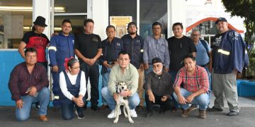 En Benito Juárez se impulsa una cultura que reconoce a los animales de compañía como seres sintientes, con derecho a una vida digna y segura.